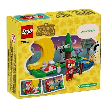 Back of LEGO Stargazing with Celeste set box