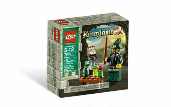 LEGO Wizard set