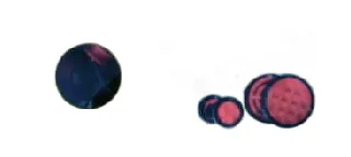 LEGO Wheels and Tires set