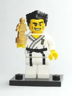 LEGO Karate Master, Series 2 (Complete Set with Stand and Accessories) set