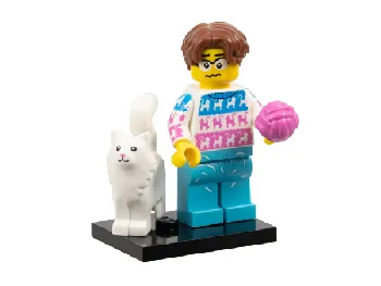LEGO Crazy Cat Lover set box