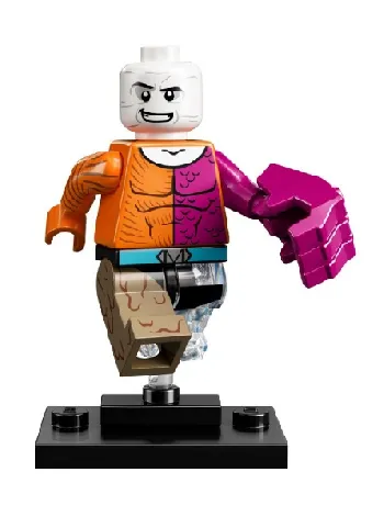 LEGO Metamorpho, DC Super Heroes (Complete Set with Stand and Accessories) set